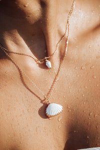 Isla Mini Cone Shell Necklace