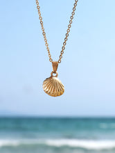 Load image into Gallery viewer, Classic Gold Cascara Shell Beach-Proof Necklace